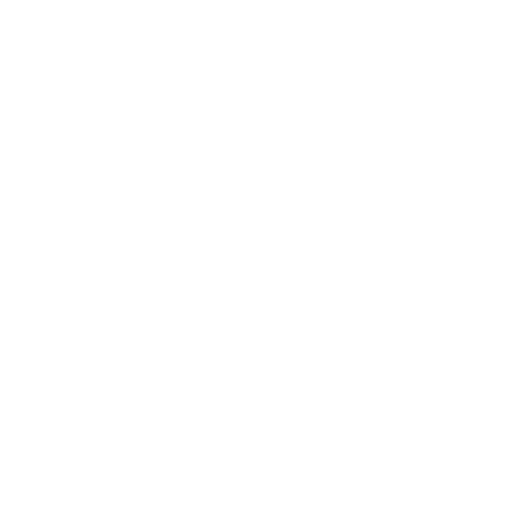 Birdie Logo - No Background WHITE